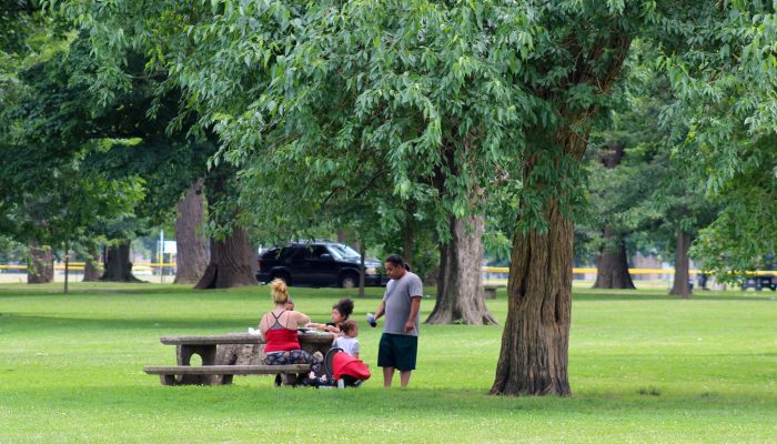 Have a picnic with your family at Front Street Park
