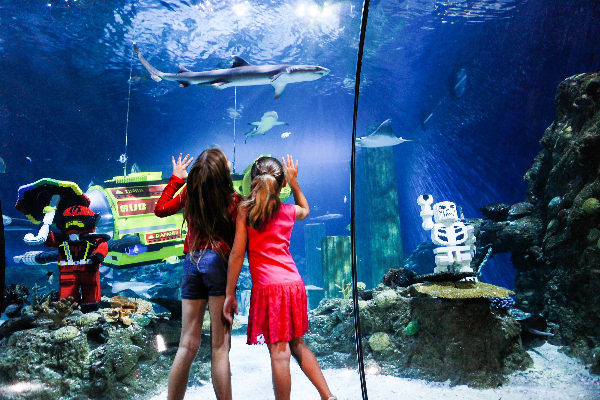 Check out the Sea Life Aquarium