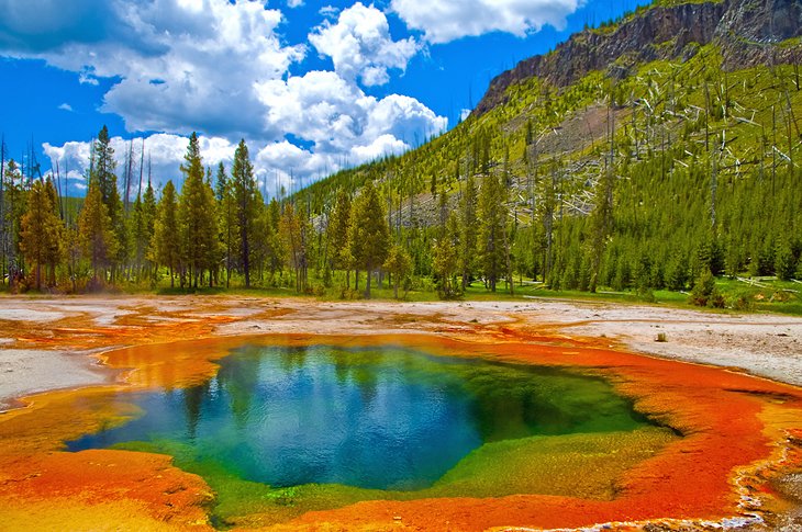 Explore the miraculous Yellowstone National Park