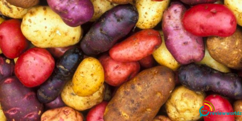 Health Benefits of Red Potatoes