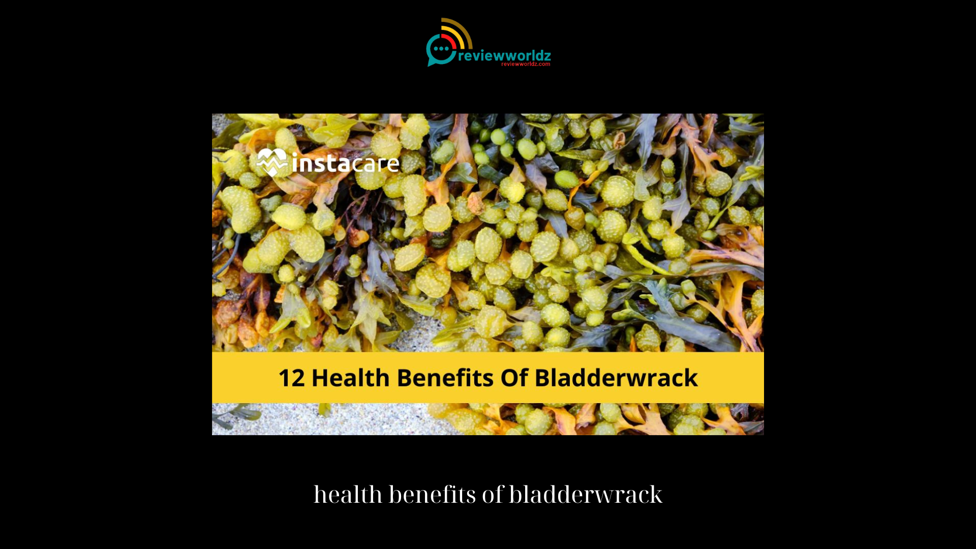 health benefits of bladderwrack
