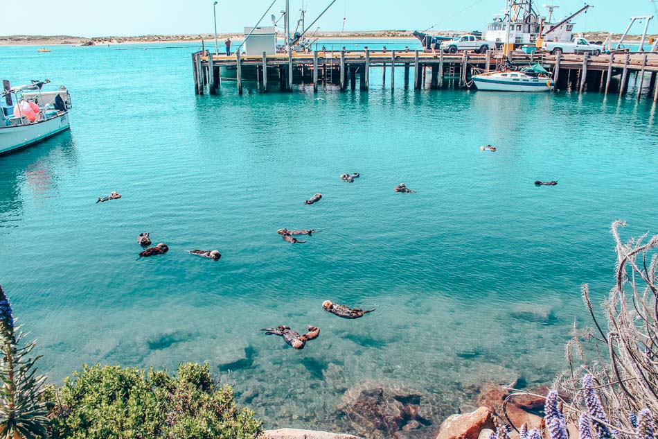 The Best Things to Do in Morro Bay