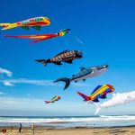 oregon lincoln city top things to do explore seven miles beaches kites