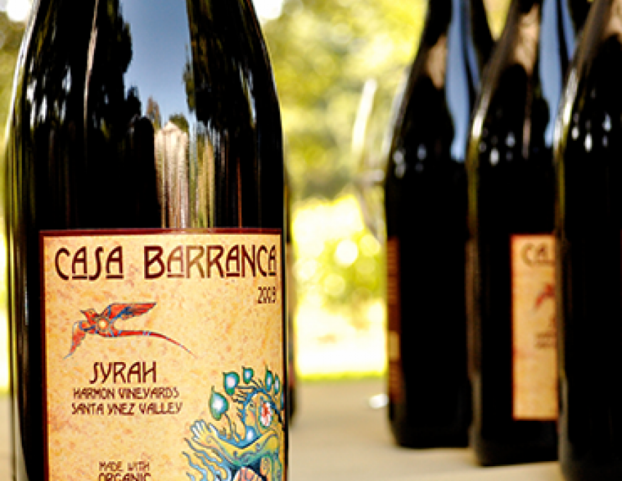 Visit winery Casa Barranca