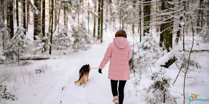 The Winter Walking Health Benefits: Embrace the Chill for a Happier, Healthier You